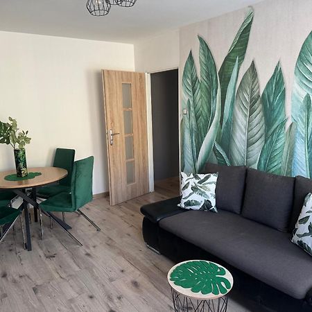 Blue Apartment Close To Old Town 비드고슈치 외부 사진