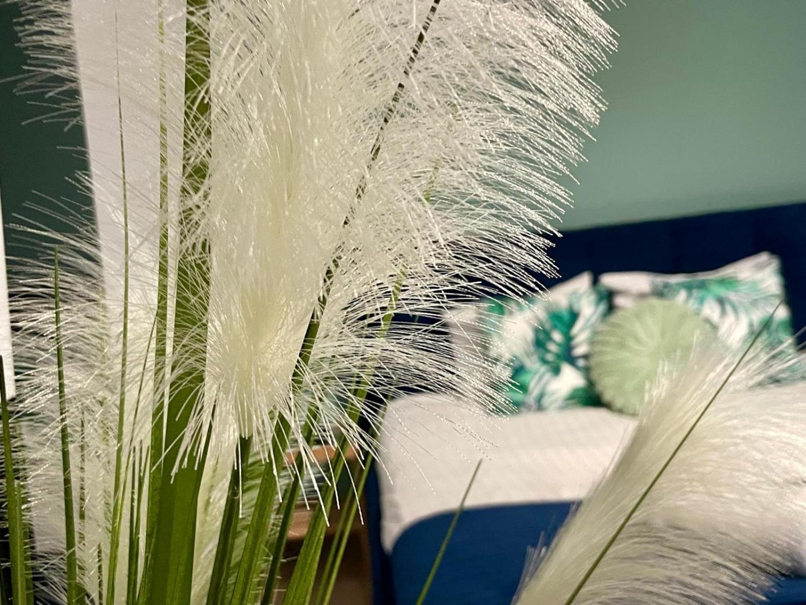 Blue Apartment Close To Old Town 비드고슈치 외부 사진